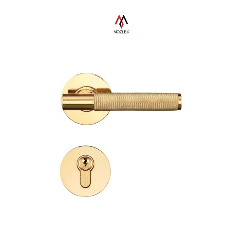 Khóa Phân thể Mozlex TDS01