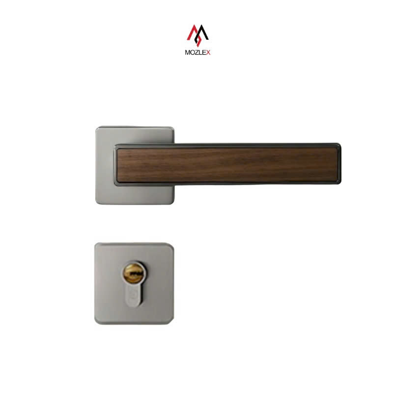 Khoá phân thể MS34